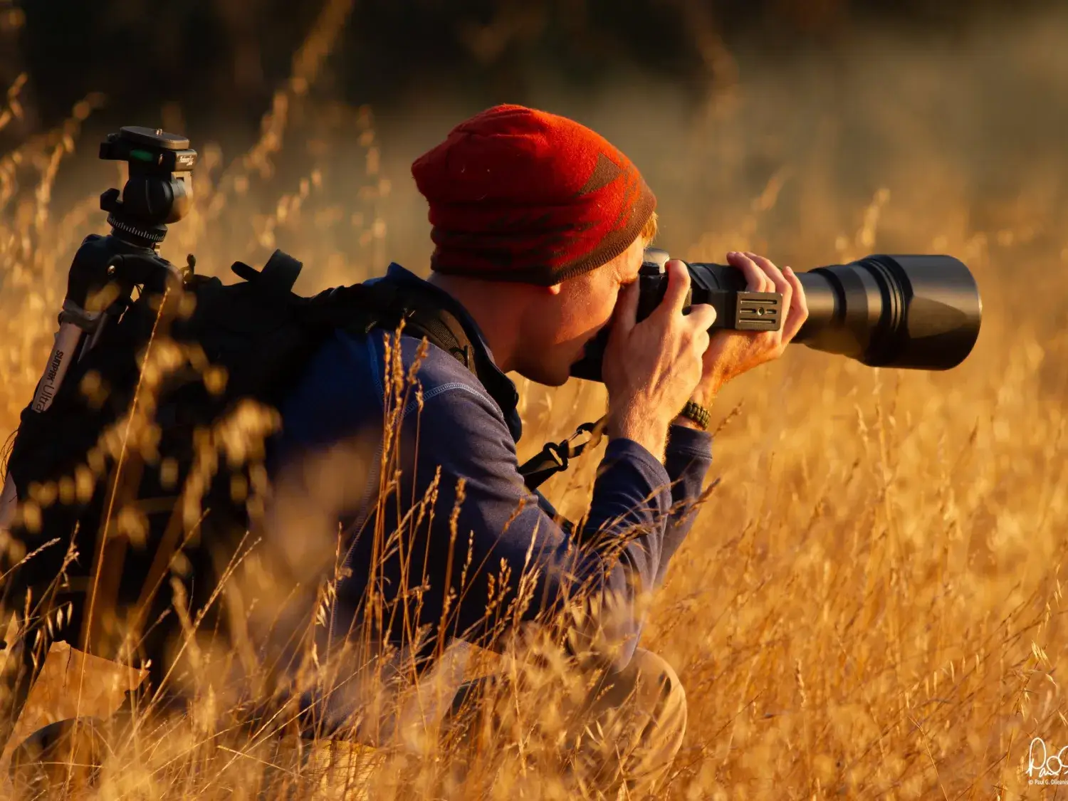 Nature Photography 101 | Open Space Authority